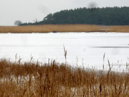 Mõniste laht 14.12.2020